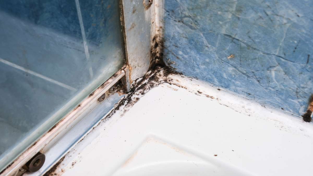 Kapotte details: schimmel en loszittende voegen in een oude douche
